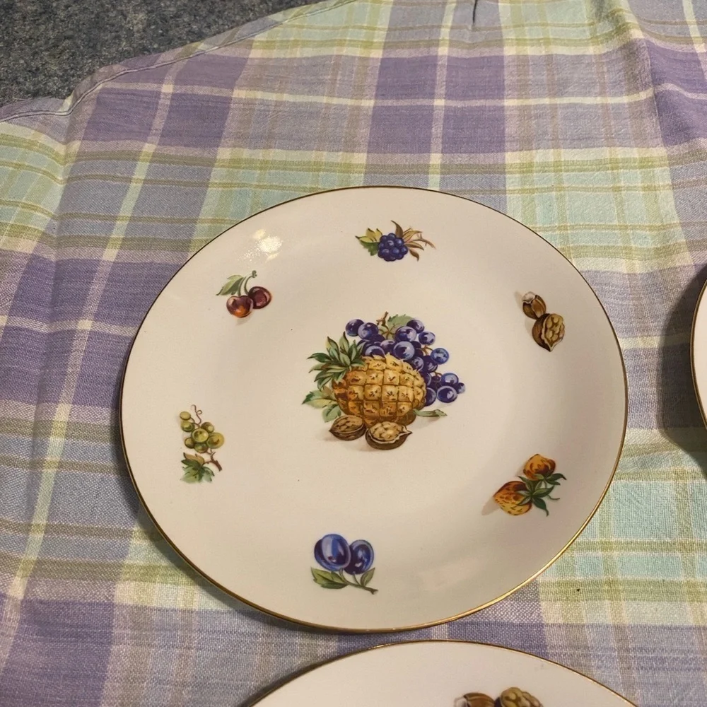 Bohemia Fruit Painted Plate Set of 6
